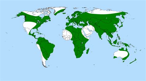 Carnivores Around The World 2025 𝚆𝚊𝚝𝚌𝚑 Online In [country]
